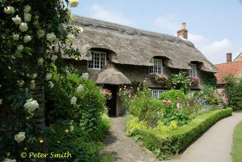 Thornton dale Thatched Cottage